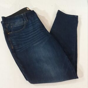 Democracy Ab Technology Indigo Ankle Skimmer Jeans